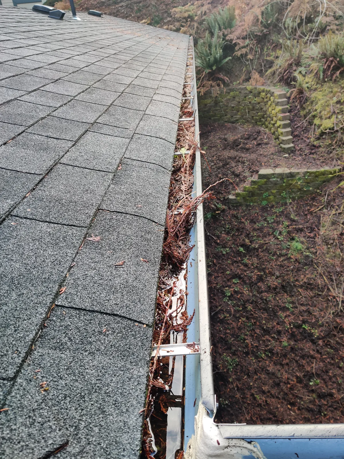 Roof edge and gutter filled with accumulated organic debris before cleaning and inspection